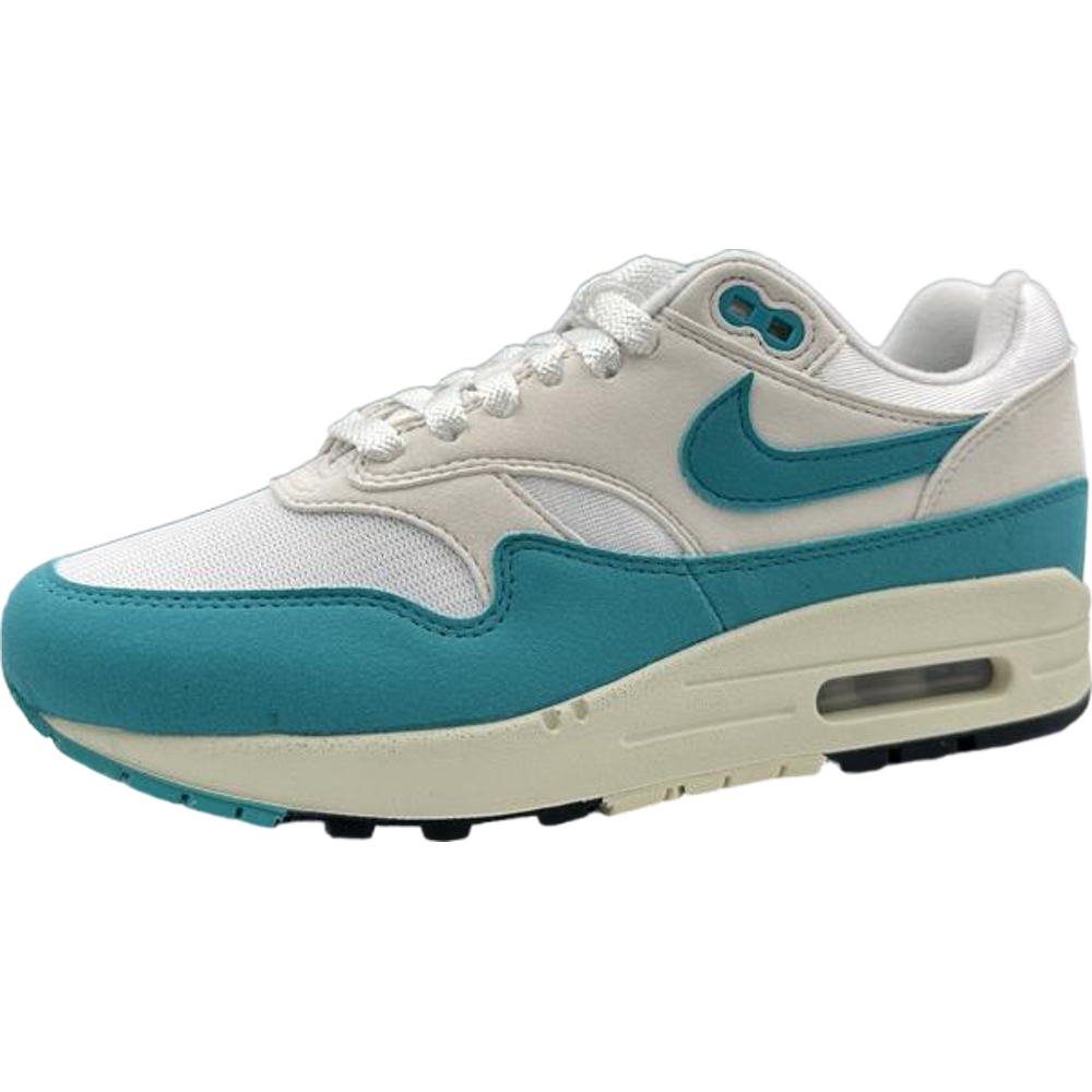 Nike Air Max 1 Dusty Cactus (Women's)